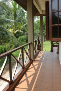 View from verandah looking towards orchard